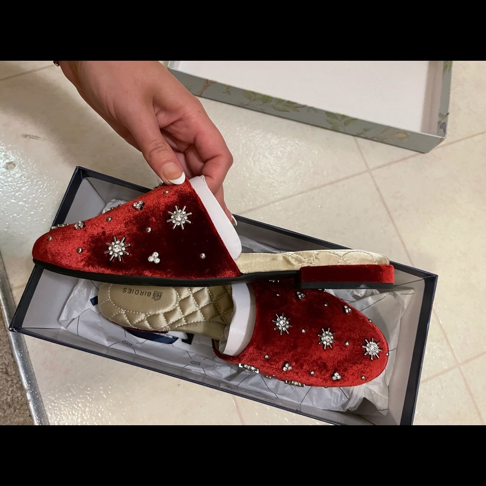 Gorgeous Red Birdies Slippers